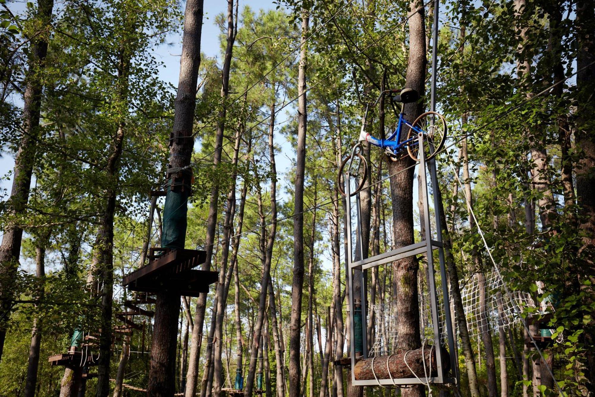Paragraph Resort & Spa Shekvetili, Autograph Collection Exterior foto Adventure Park in the forest